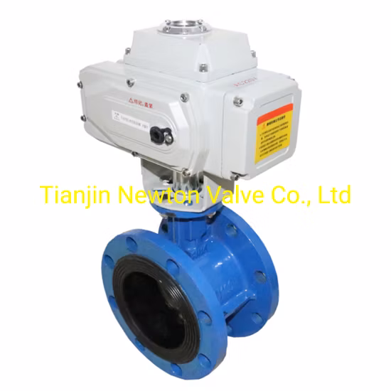 Low Pressure Cast Iron Body Ggg50 Worm Actuated Double Flange Butterfly Valve