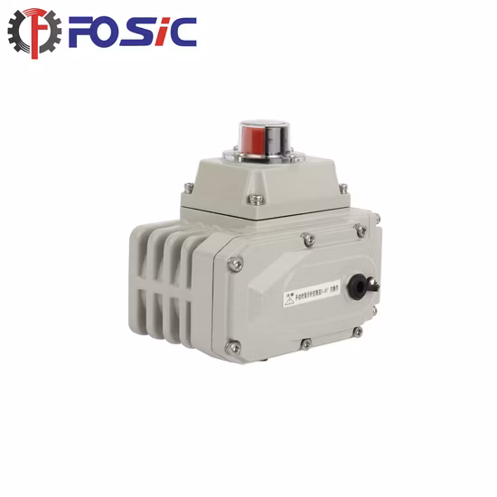 Electric Actuator