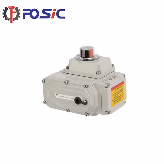 Electric Actuator