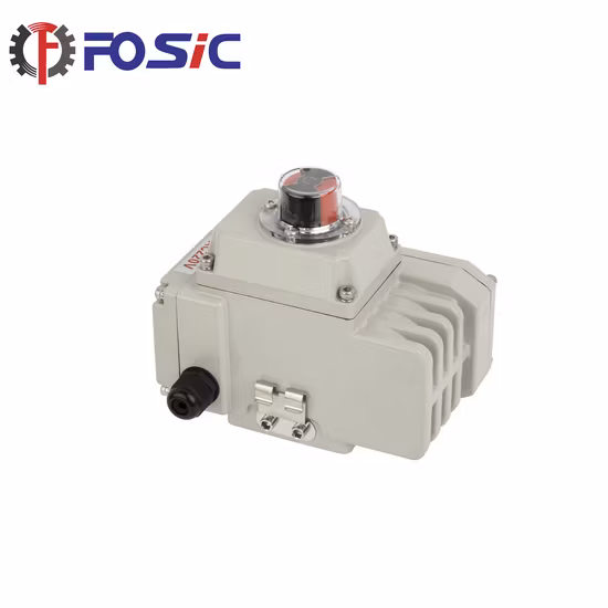 Electric Actuator