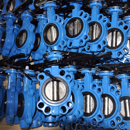 Factory OEM Industrial DN50 Pn16 Di Manual Stainless Steel Wafer Butterfly Valve